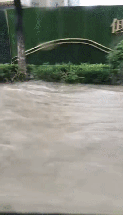 这位车主明显见过大场面 浪就完了,之前的车船税果然没有白交