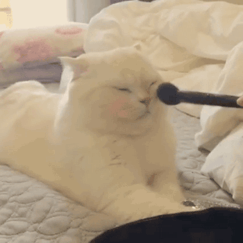 这个春节狗子��到底承担了怎么样的责任和压力?