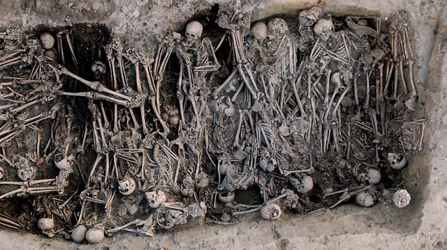 重塑人类历史的鼠疫，到底来自哪里｜大象公会