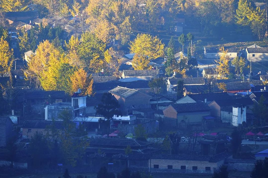 炒房团攻陷小城市：每个东北人，都想在南方搞套房