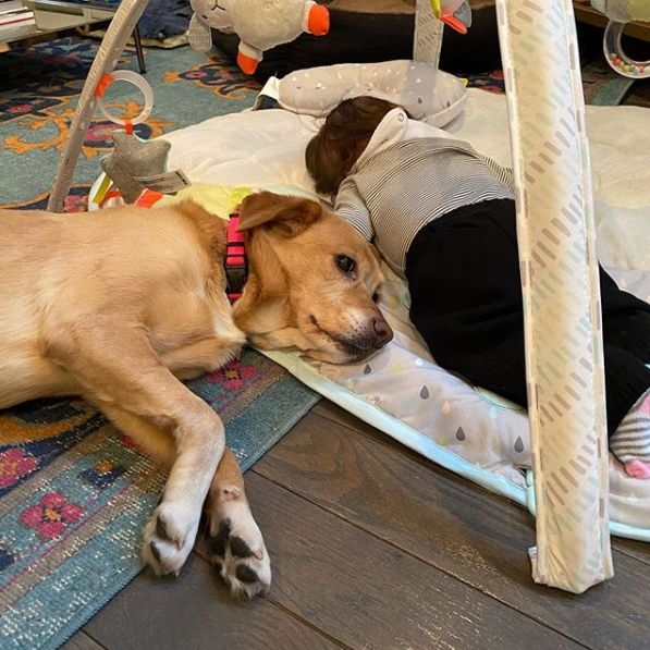 那天夜里，她闯进了陌生人的家……