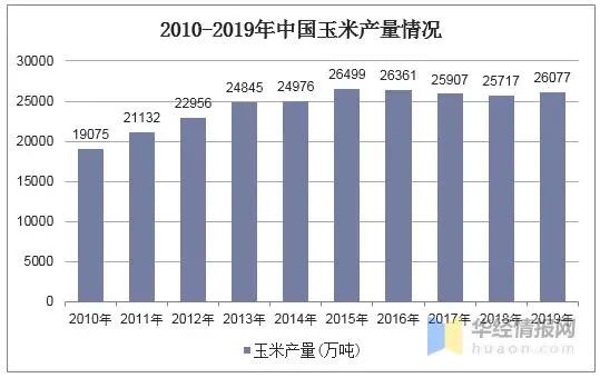 2019年中国玉米现状及发展趋势,要不断提高玉米新技术的效率图