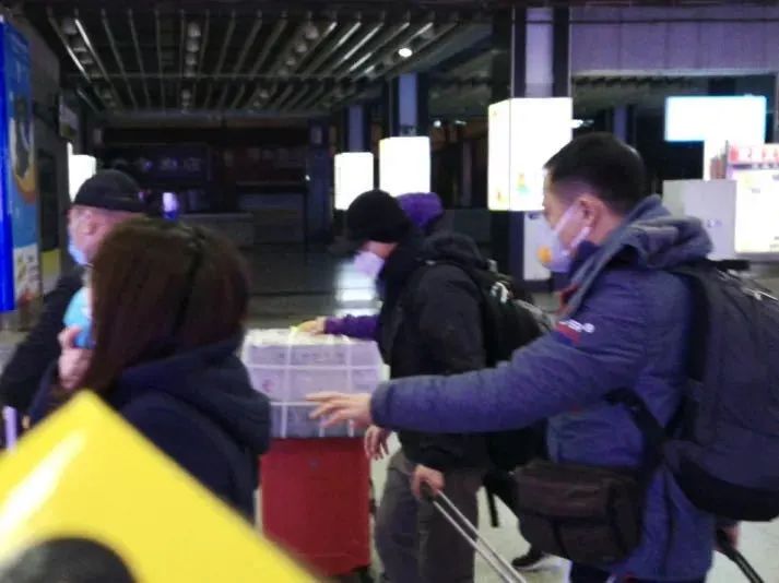 逆行四十日，香港摄记的武汉故事