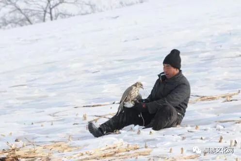 乌拉满族鹰猎习俗