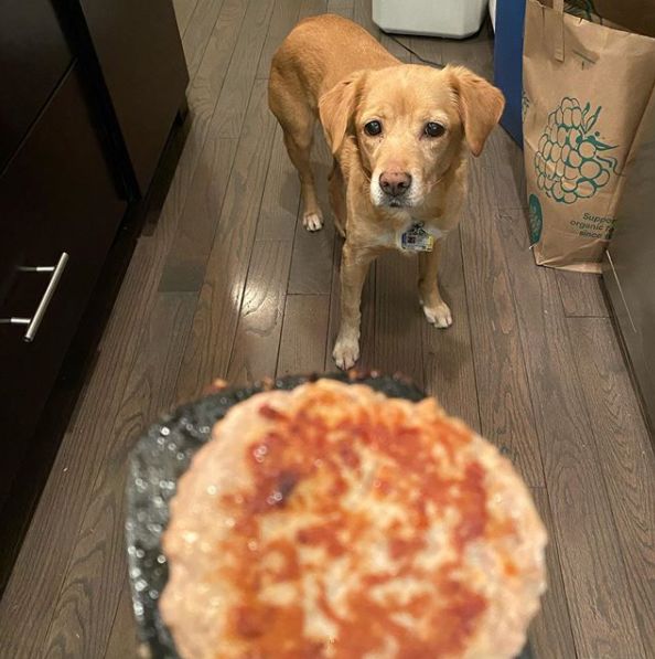 那天夜里，她闯进了陌生人的家……