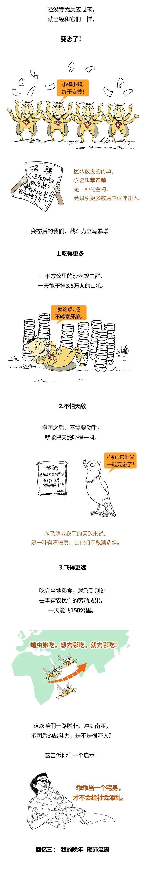 被嫌弃的蝗虫的一生