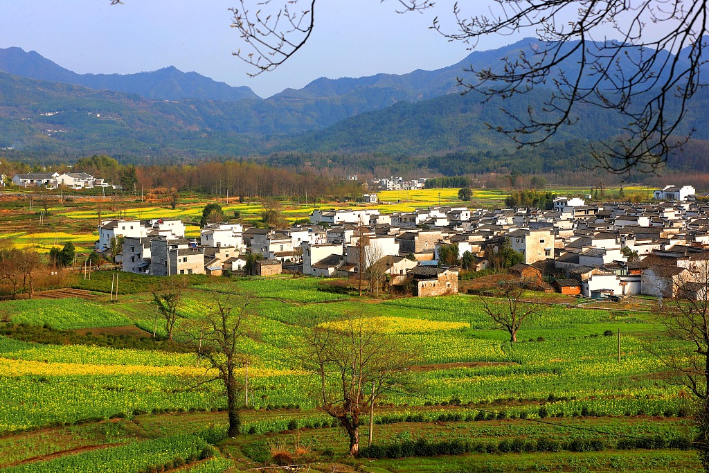 安徽黄山皖南乡村春色如画