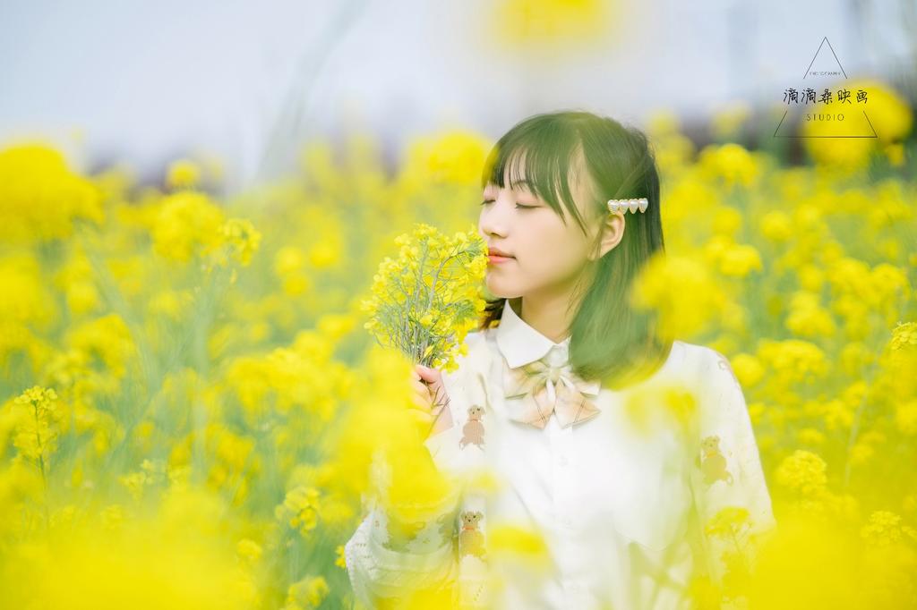 油菜花少女