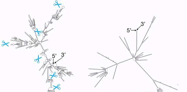 进军生物计算!百度发布飞桨螺旋桨paddlehelix