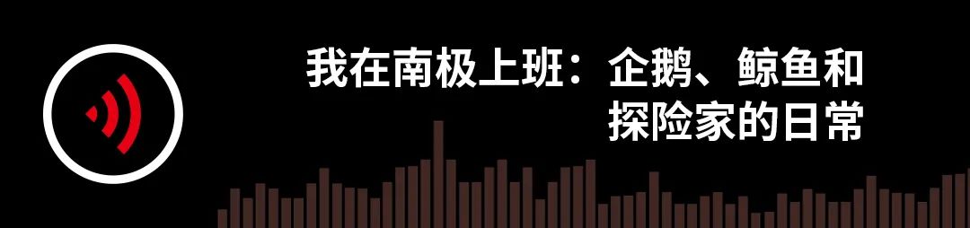 我在南极上班：企鹅、鲸鱼和探险队员的日常