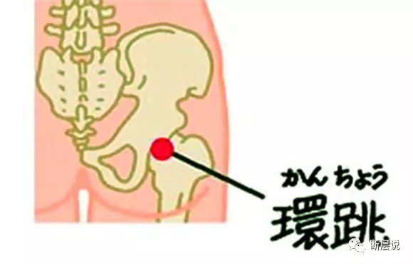 受风痹痛,活动不利的人环跳穴跃动为跳旋转为环环跳的穴名释义探寻经