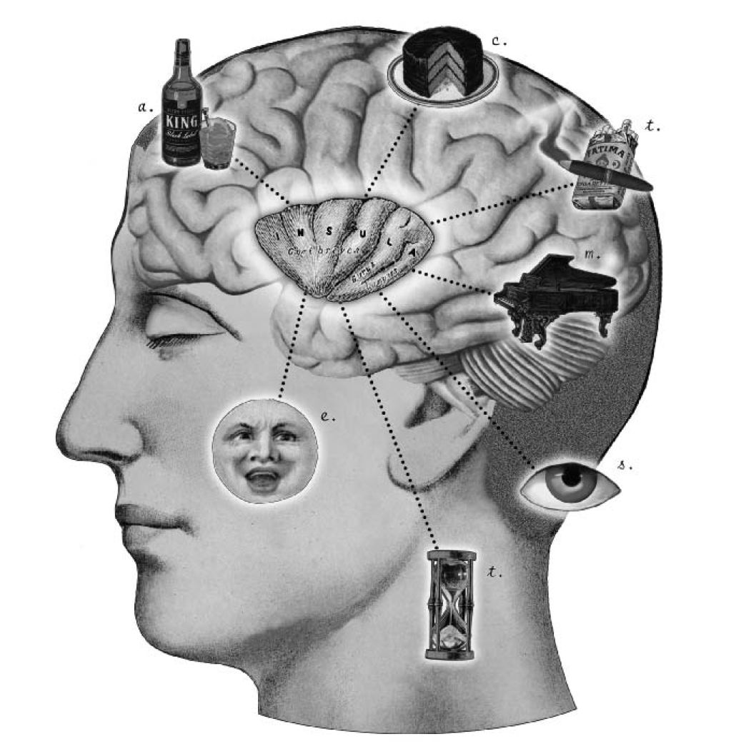 人是世界上最无聊的动物｜大象公会