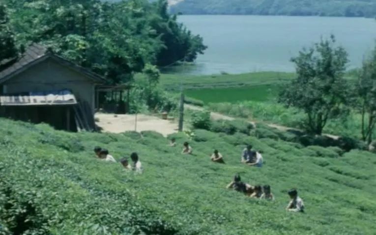 烧淤、挖土、灌园：乡间，庄稼人在做农活