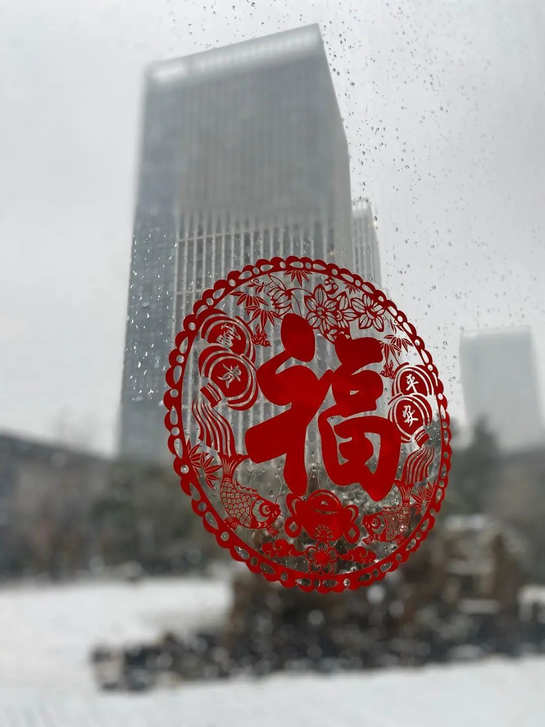 逆行四十日，香港摄记的武汉故事