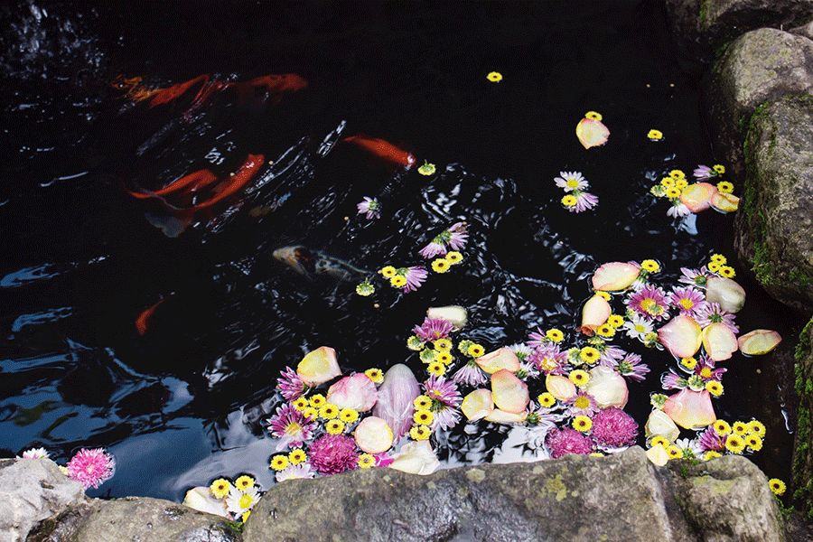 中国最美尼姑庵，看完都想去出家