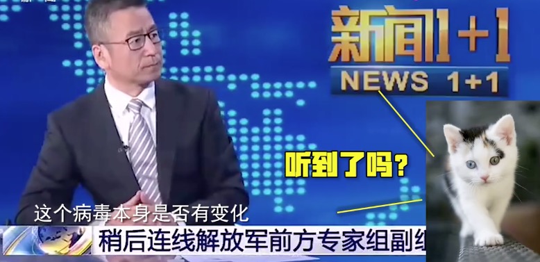 时评：央视猫叫