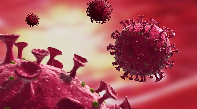 巴西首次捕捉到新冠病毒入侵人体时刻:真实还原病毒感染健康细胞场景