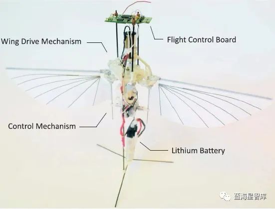 仿蜂鸟无人机的新型扑翼拍打机构