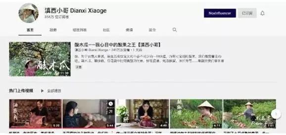 阿木爷爷,李子柒,滇西小哥…为什么是他们在海外爆火?