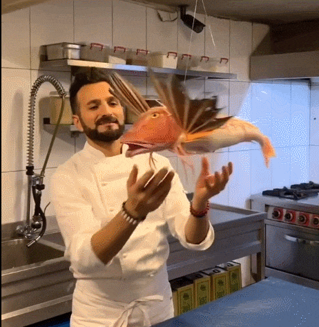 把奇葩深海怪鱼做成奇葩暗黑美食这个硬核厨子画风简直有毒