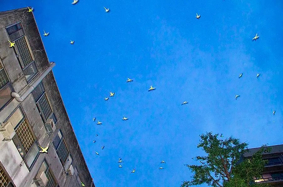 6位摄影师带你窥见6种不一样的日本