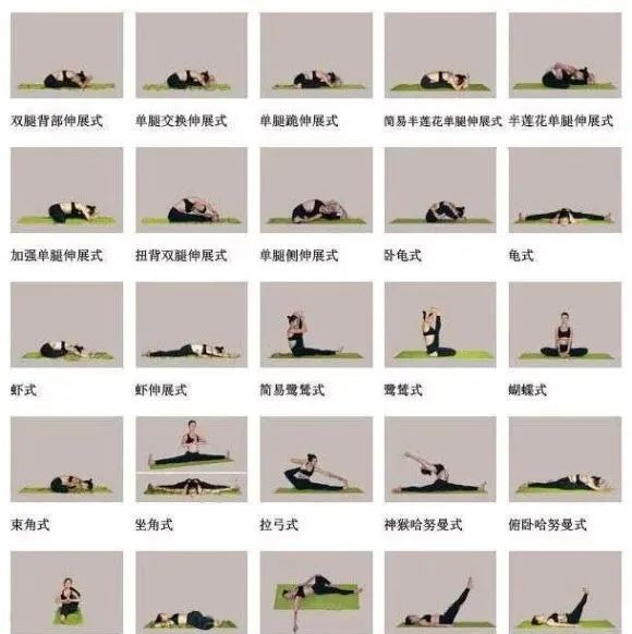 8,图片包括下列瑜伽体式名称:25种瑜伽体位