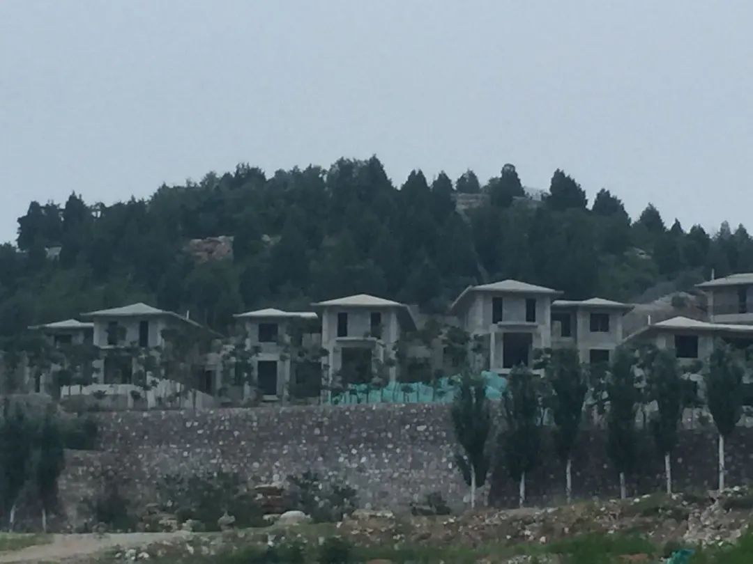 违规别墅群占据整个山坡 官方却称“手续齐全”