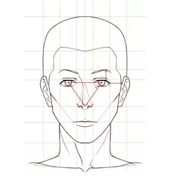 绘制部件 在男性情况下,连接眼睛中心和鼻子头部的线越接近等边三角形