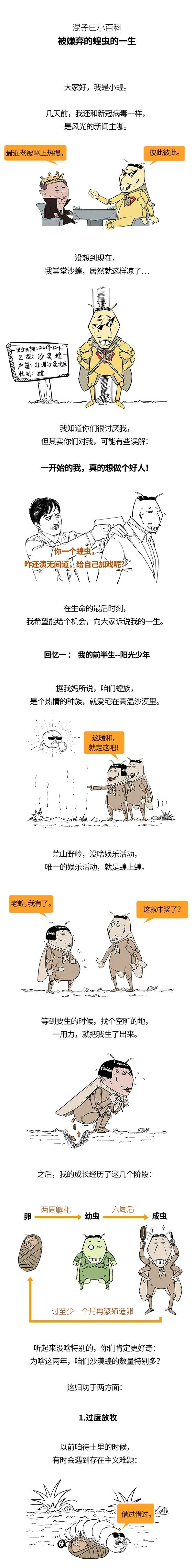 被嫌弃的蝗虫的一生