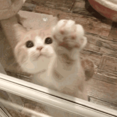 肺炎疫情之下,全国人民每天的表情包