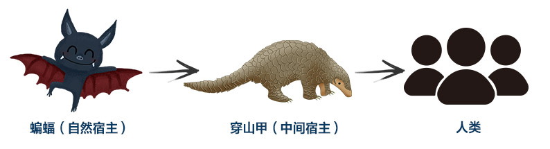 一封来自野生动物的抗“疫”宣言