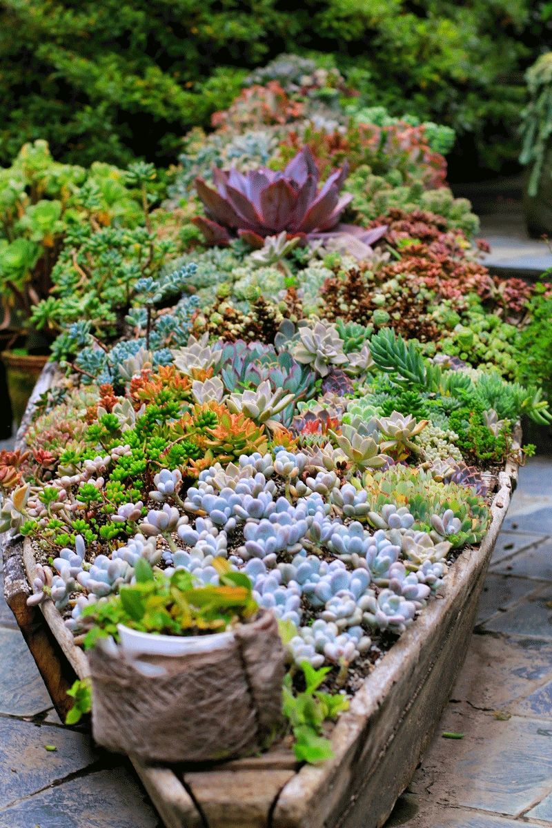 中国最美尼姑庵，看完都想去出家