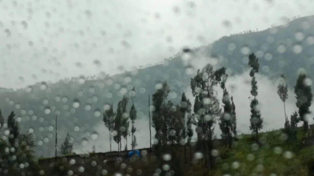 七夕表白特辑：八个关于暗恋的故事｜故事FM