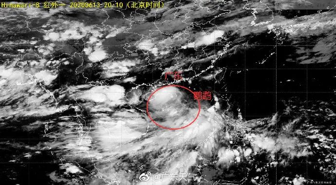 台风"鹦鹉"明日袭击广东!暴雨 大风今晚杀到,你准备好了吗?