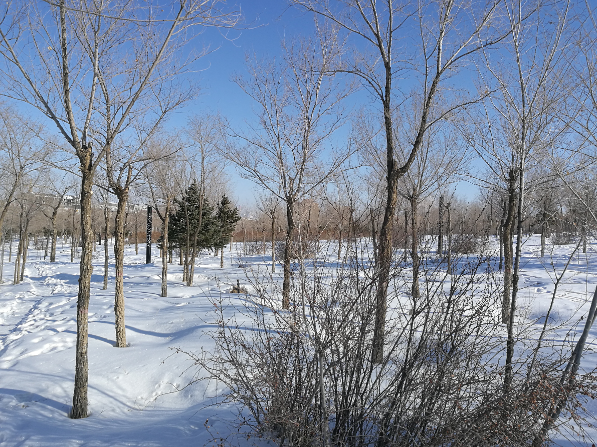 澎友圈大赏｜疫情前，中国有最勇敢的人保护着