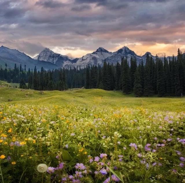 如果可以，一定要去新疆走一走，体会它的千种风情，万种风光（最新发布）