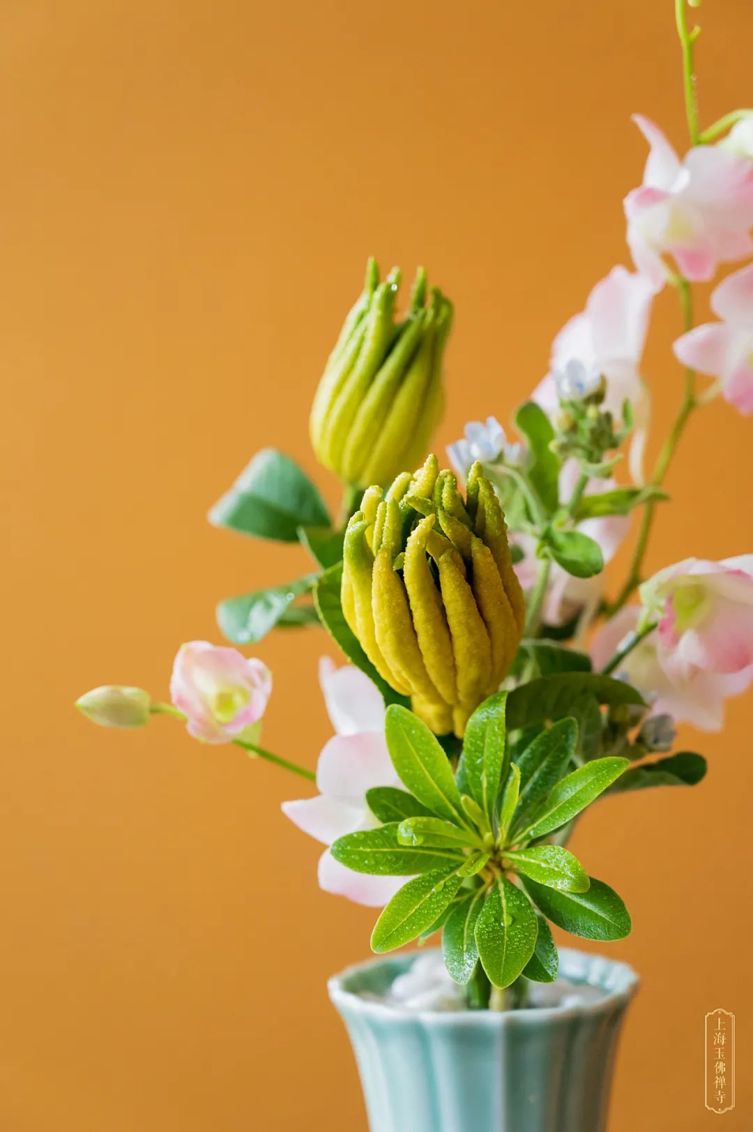 盂兰盆佛前供花 | 香花供养诸如来,祈愿如母有情登觉岸