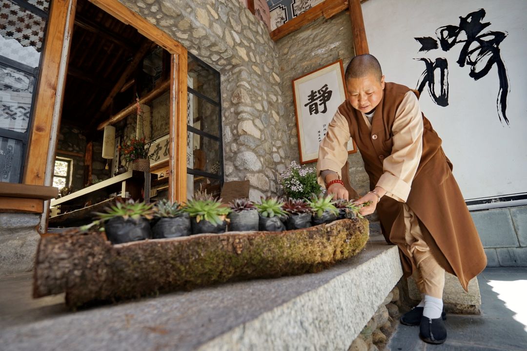 中国最美尼姑庵，看完都想去出家