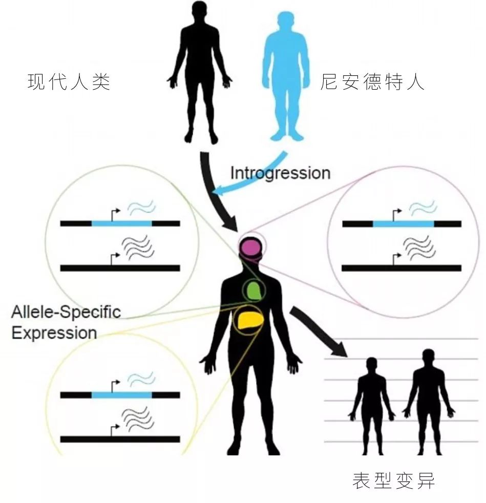 他们在贝加尔湖孤单地守望了两三万年终于等来谁呢