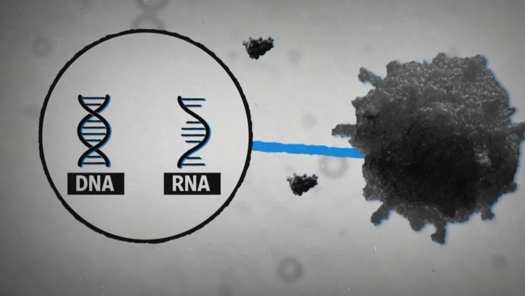 疫情“震中”由亚洲移至欧美疫苗研发正与生命竞速
