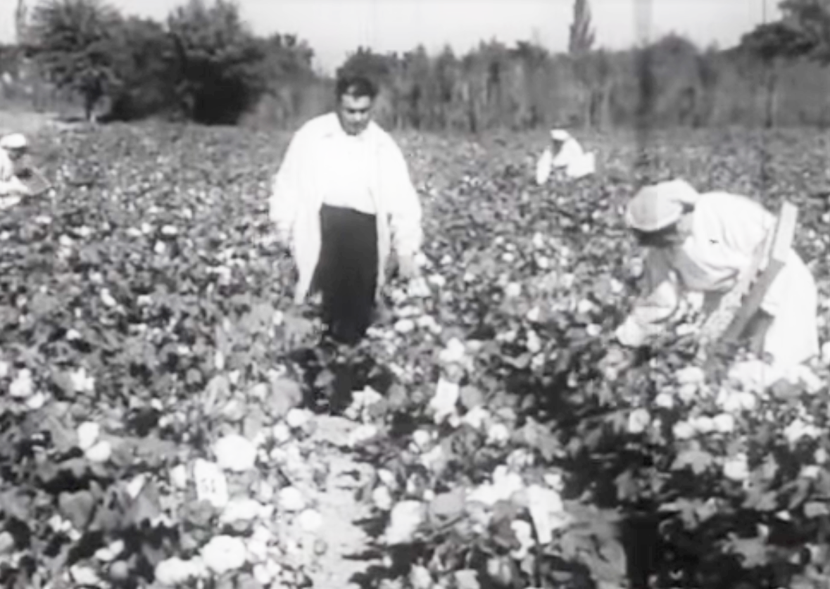 苏联超级工程，沙漠大运河！ | 地球知识局