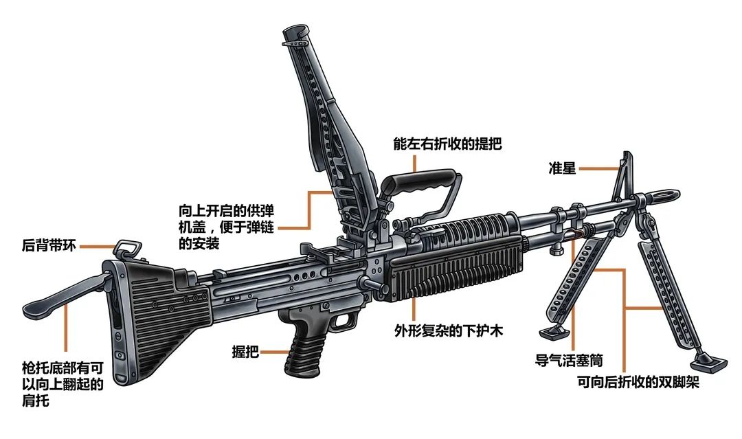 m63轻机枪使用的5.56毫米步枪弹(左)与m60通用机枪使用的7.