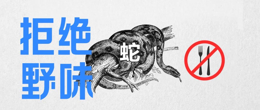 全网最热搜的7种“野味”，请别再祸害它们了