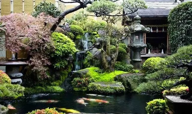 自然也信奉中国风水,尤其是有庭院的日本富人,假山瀑布,水池金鱼,有