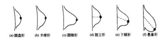 事实上每个人的胸型都不一样,胸型大致分为:圆锥型,圆盘型,半球型等