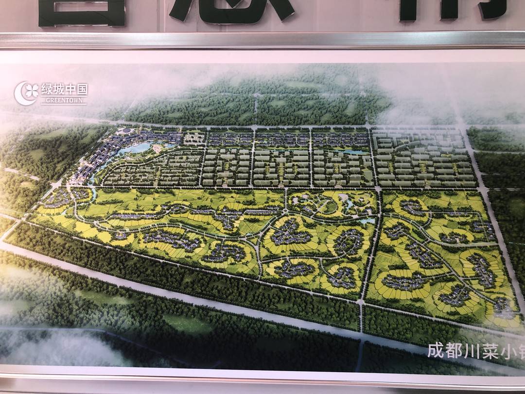 结合川菜产业发展定位和城市发展需求,郫都区包装策划了安德高铁tod