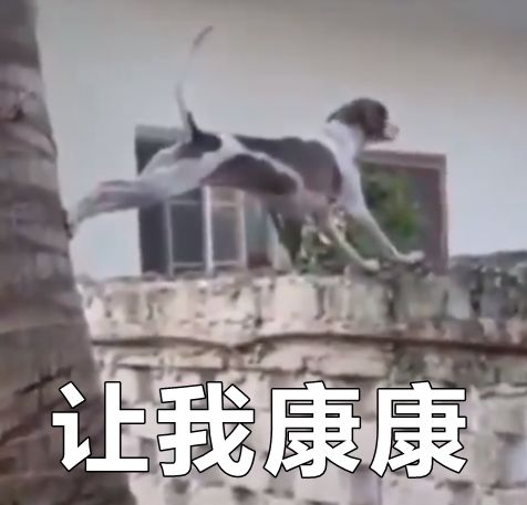 亲戚总爱问毕业工作谈恋爱了没？是不是故意恶心人