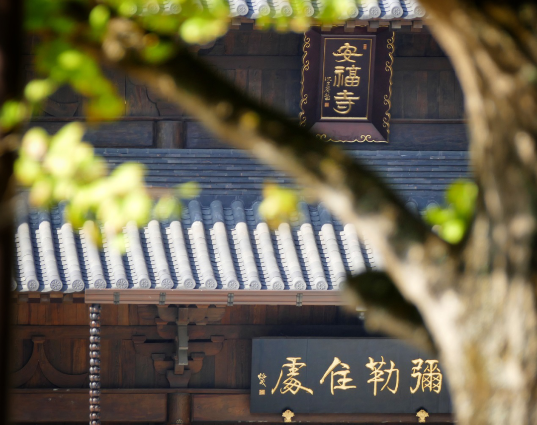 美丽寺院:文成县天圣山安福寺