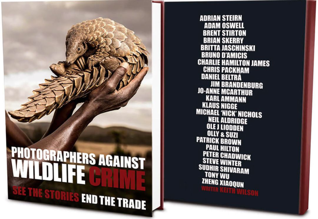 那些因人类的迷信娱乐贪婪，给野生动物带来的苦难