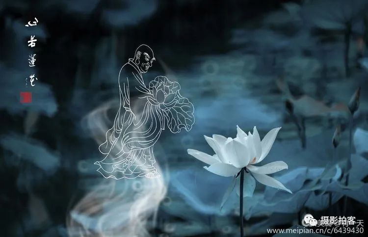 佛与莲花
